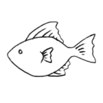 fish